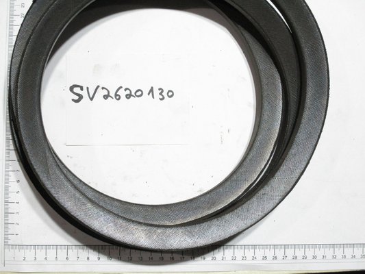 sage - Pièces Lachish - Belt QUAD-POWER V XPC236.